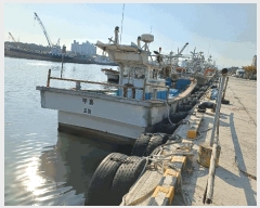  2025Ÿ��540 ���׽� ��������         ���ڰ��