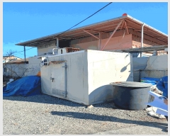  2025Ÿ3550  ׽   â 137-2     ()