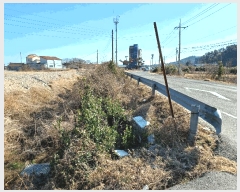  2025Ÿ3550  ׽   â 137-2     ()