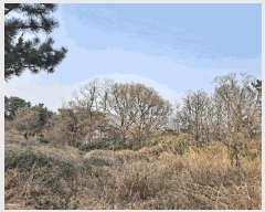  2025Ÿ��3646  �Ӿ߰��