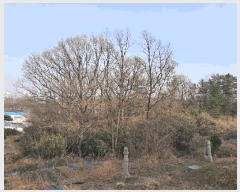  2025Ÿ��3646  �Ӿ߰��