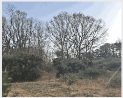  2025Ÿ��3646  �Ӿ߰��