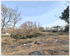  2025Ÿ��3646  �Ӿ߰��