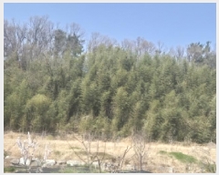  2025Ÿ��3646  �Ӿ߰��