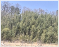  2025Ÿ��3646  �Ӿ߰��