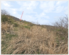  2025Ÿ��3661 ��� ���׽� ���� �������� ��渮 423     ����(��1)���