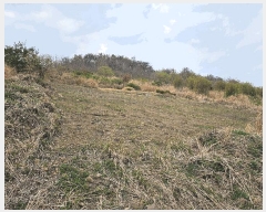  2025Ÿ��3661 ��� ���׽� ���� �������� ��渮 423     ����(��1)���