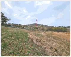  2025Ÿ��3661 ��� ���׽� ���� �������� ��渮 423     ����(��1)���