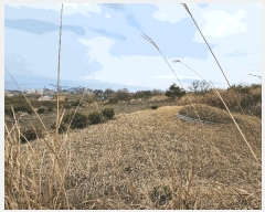  2025Ÿ��3661 ��� ���׽� ���� �������� ��渮 423     ����(��1)���