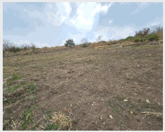  2025Ÿ��3661 ��� ���׽� ���� �������� ��渮 423     ����(��1)���