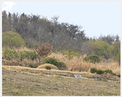  2025Ÿ��3661 ��� ���׽� ���� �������� ��渮 423     ����(��1)���