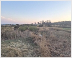  2025Ÿ��3661 ��� ���׽� ���� �������� ��渮 423     ����(��1)���