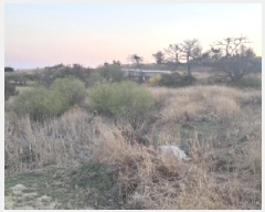  2025Ÿ��3661 ��� ���׽� ���� �������� ��渮 423     ����(��1)���