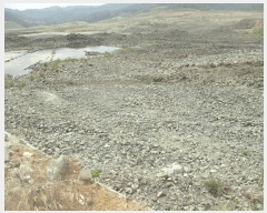  2025Ÿ3681  ׽    409     (1)