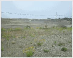  2025Ÿ3681  ׽    409     (1)