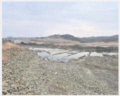  2025Ÿ3681  ׽    409     (1)