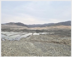  2025Ÿ3681  ׽    409     (1)