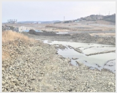  2025Ÿ3681  ׽    409     (1)