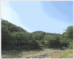  2025Ÿ��3691 ��� ���׽� ���� ��õ�� ������ ��156-206     ����(�Ӿ�)���