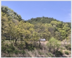  2025Ÿ��3691 ��� ���׽� ���� ��õ�� ������ ��156-206     ����(�Ӿ�)���