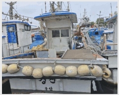  2025Ÿ3712 ׽          ڰ