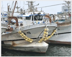  2025Ÿ3712 ׽          ڰ