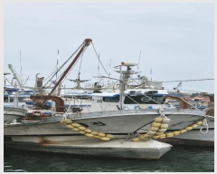  2025Ÿ3712 ׽          ڰ