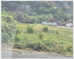  2025Ÿ3771  ׽ ϱ ûϸ ̳ 798     ()