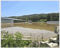  2025Ÿ��3776 ��� ���׽� �ϱ� û�ϸ� �̳��� 70     ����(��)���