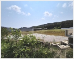  2025Ÿ��3776 ��� ���׽� �ϱ� û�ϸ� �̳��� 70     ����(��)���