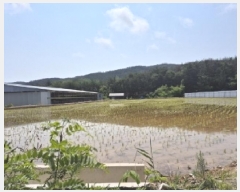  2025Ÿ��3776 ��� ���׽� �ϱ� û�ϸ� �̳��� 70     ����(��)���