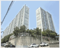  2025Ÿ��3786  ����Ʈ���