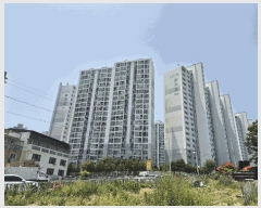  2025Ÿ��3786  ����Ʈ���