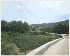  2025Ÿ��3814 ��� ���׽� �ϱ� �ű��� �׼��� 990-1     ����(��1)���