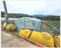  2025Ÿ��3814 ��� ���׽� �ϱ� �ű��� �׼��� 990-1     ����(��1)���