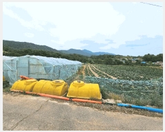  2025Ÿ��3814 ��� ���׽� �ϱ� �ű��� �׼��� 990-1     ����(��1)���