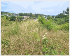  2025Ÿ��3814 ��� ���׽� �ϱ� �ű��� �׼��� 990-1     ����(��1)���