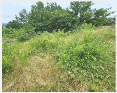  2025Ÿ��3814 ��� ���׽� �ϱ� �ű��� �׼��� 990-1     ����(��1)���