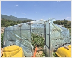  2025Ÿ��3814 ��� ���׽� �ϱ� �ű��� �׼��� 990-1     ����(��1)���