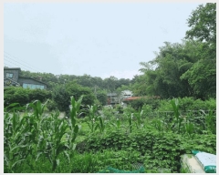  2025Ÿ��3819 ��� ���׽� ���� �̵� ��96-1      ����(�Ӿ�)���