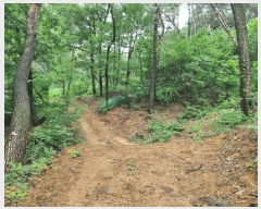  2025Ÿ��3819 ��� ���׽� ���� �̵� ��96-1      ����(�Ӿ�)���