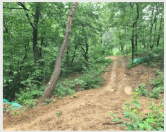  2025Ÿ��3819 ��� ���׽� ���� �̵� ��96-1      ����(�Ӿ�)���