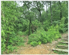  2025Ÿ��3819 ��� ���׽� ���� �̵� ��96-1      ����(�Ӿ�)���