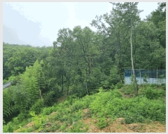  2025Ÿ��3819 ��� ���׽� ���� �̵� ��96-1      ����(�Ӿ�)���