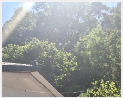  2025Ÿ��3819 ��� ���׽� ���� �̵� ��96-1      ����(�Ӿ�)���