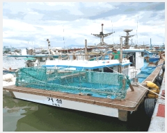  2025Ÿ3829 ׽          ڰ