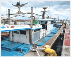  2025Ÿ3829 ׽          ڰ