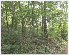  2025Ÿ��3859  �Ӿ߰��