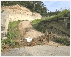  2025Ÿ��3859  �Ӿ߰��