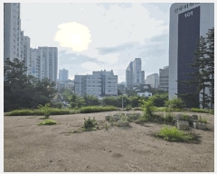  2025Ÿ��3859  �Ӿ߰��